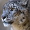 200904多摩動物公園_011