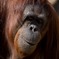 200904多摩動物公園_013