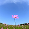 ここにいるよ。