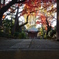 静勝寺の秋