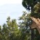 090408_IGP3177_100