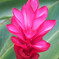 DSCF0203