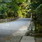 道