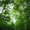 green green