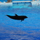 名古屋水族館