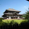 東大寺金堂～森囲み風～