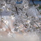 窓から見える桜です