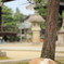 ｚｚｚ。。。