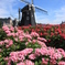 Holland country