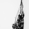 dried flower