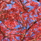 ciel rouge