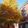 Liege_1