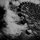 photo_1445050