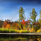 Monet IV