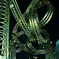 photo_1446356