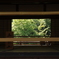 京都旅行６