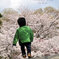 2010-04-03_7703