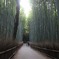 竹の道