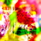 Vivid.