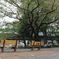 休日の公園