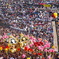IMGP8688　灘けんか祭り