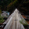 過去への架け橋