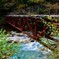 森林鉄道跡