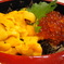 IMGP0165