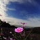 _DSC7411_copy