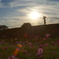 夕日の中に