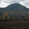 20111024003