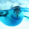 目線ペンギン