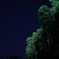 夜空を見上げて