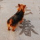 春、出会いの季節でしょうか