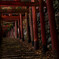 山内の神社