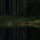 蟹淵の光