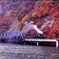 もう見れない只見号