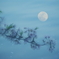 月夜の桜
