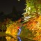 弘前公園　もみじまつり