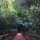 朱色の吊り橋