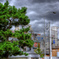 DSC04930_1_2_tonemapped