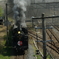 IMGP44930