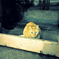LOOKat_s