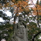 増上寺にて