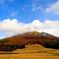 大山の紅葉