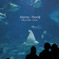 marine world