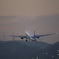 飛行機