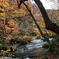 紅葉の奥入瀬
