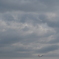 雲雲雲雲雲飛行機雲