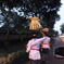 バリの車窓から